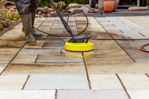 Best Animal Enclosure Cleaning  in Norwich, NY